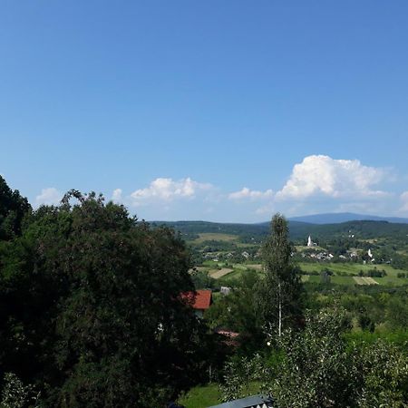 Котедж "Лісовий Затишок" Glubokoye Dış mekan fotoğraf