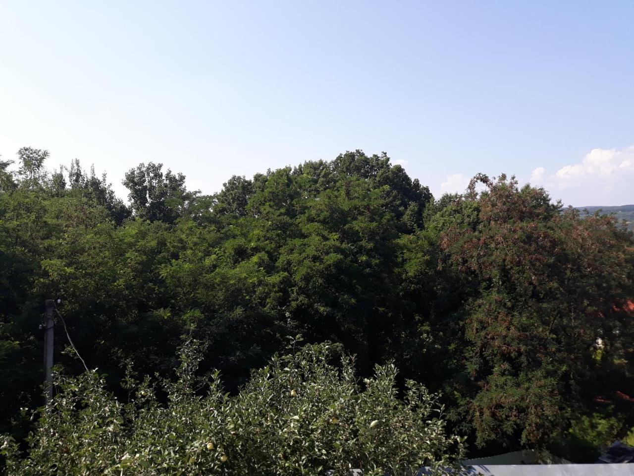 Котедж "Лісовий Затишок" Glubokoye Dış mekan fotoğraf